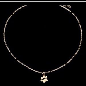 Paw print 🐾 short necklace
